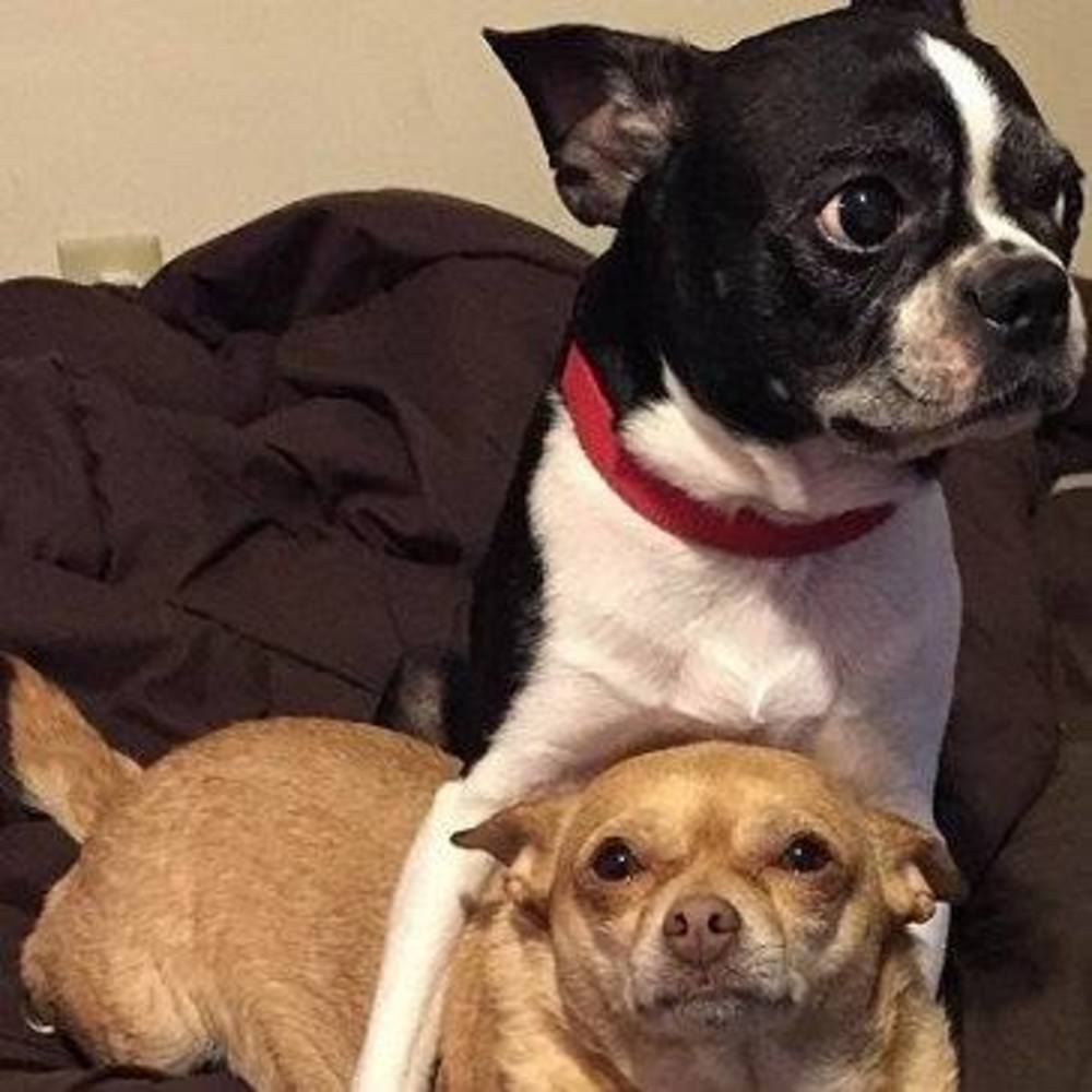 Meet your Posher, Candy